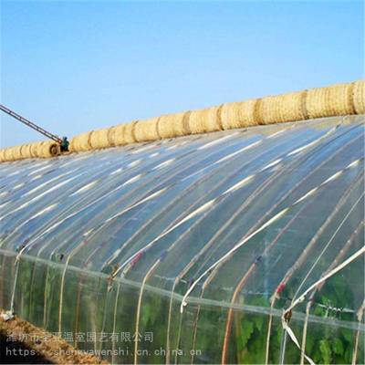 圣亚拱圆式全钢结构苗木种植温室工程_组装式温室工程市场价